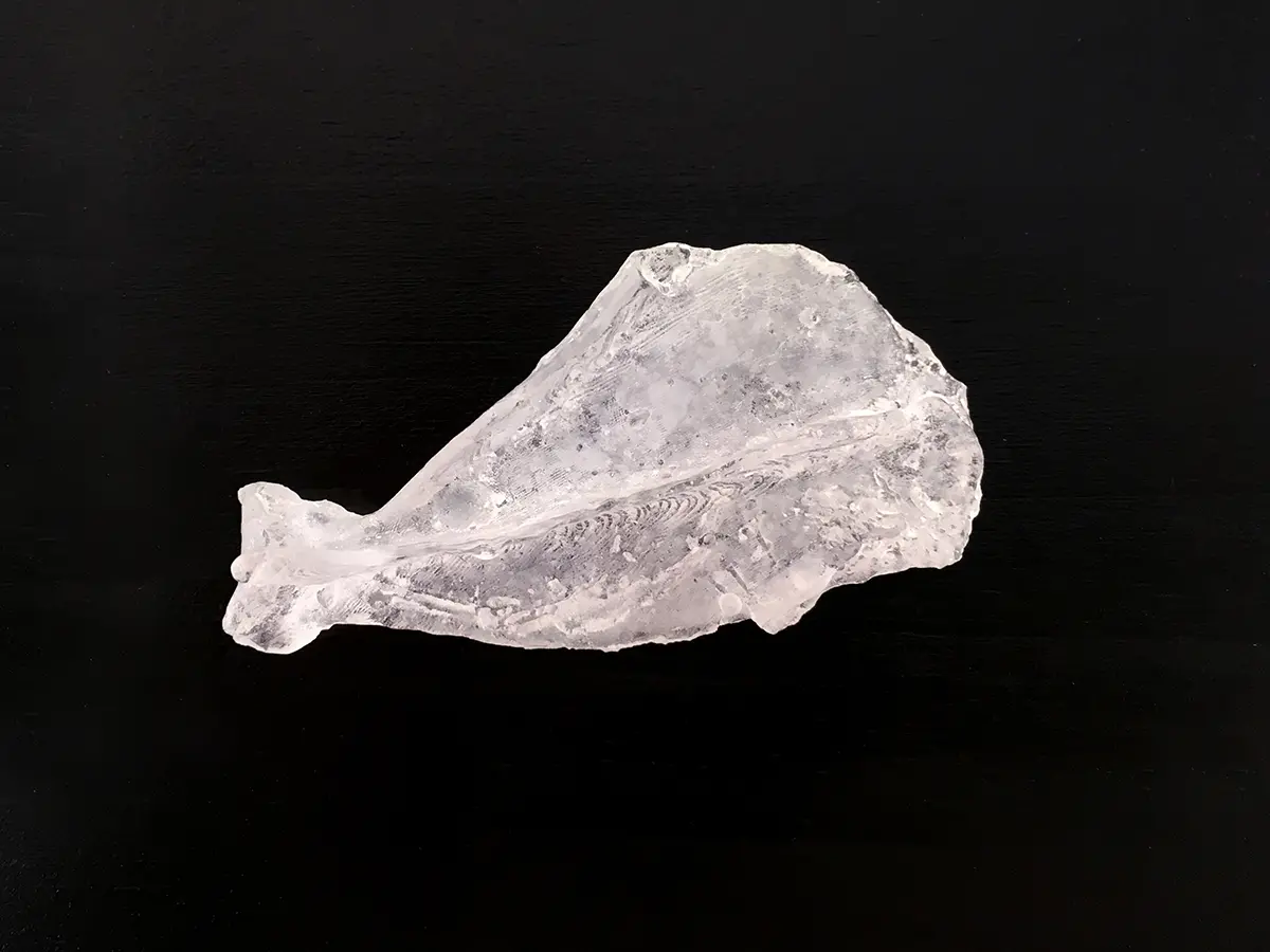 変身物語 METAMORPHOSES #3 Pâte de verre 3