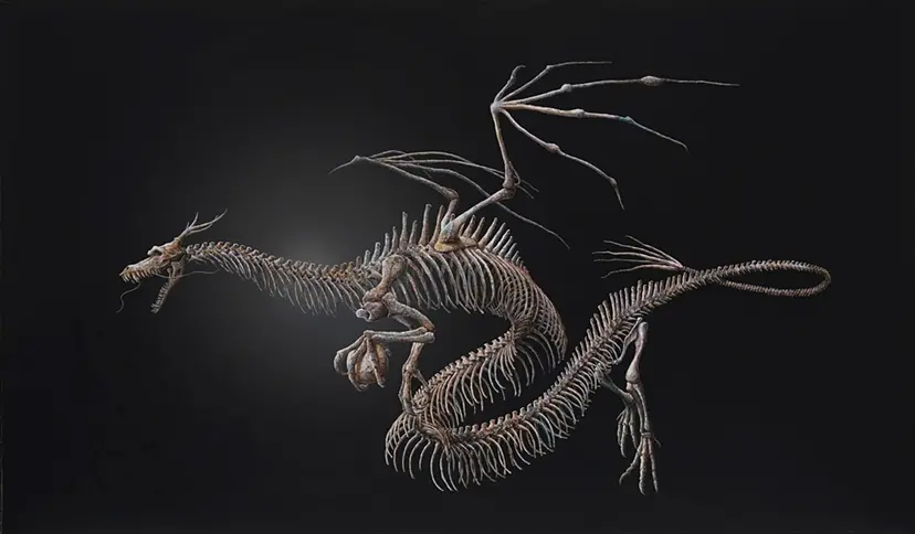 石製 硯ドラゴンとフェニックスの絵柄付き エンシェントドラゴン66折り目を解説！Explain No.66 of the