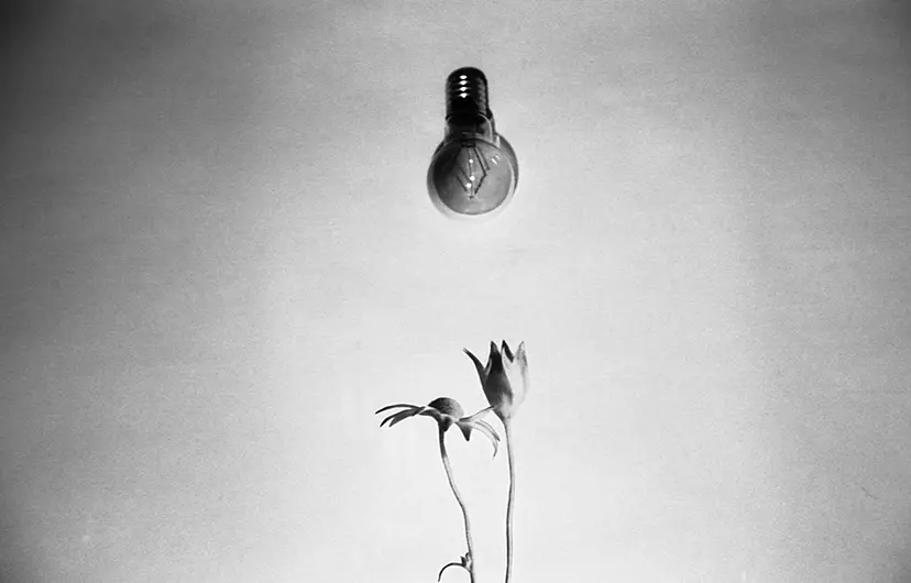 short-term memory#3 by 三井 彩紗 Ayasa Mitsui