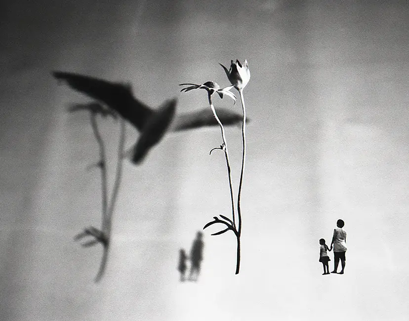 short-term memory#4 by 三井 彩紗 Ayasa Mitsui