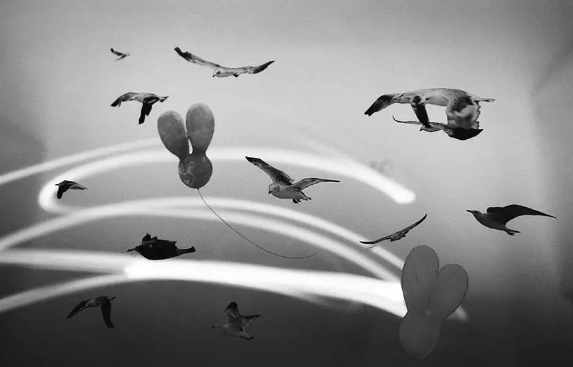 short-term memory#5 by 三井 彩紗 Ayasa Mitsui