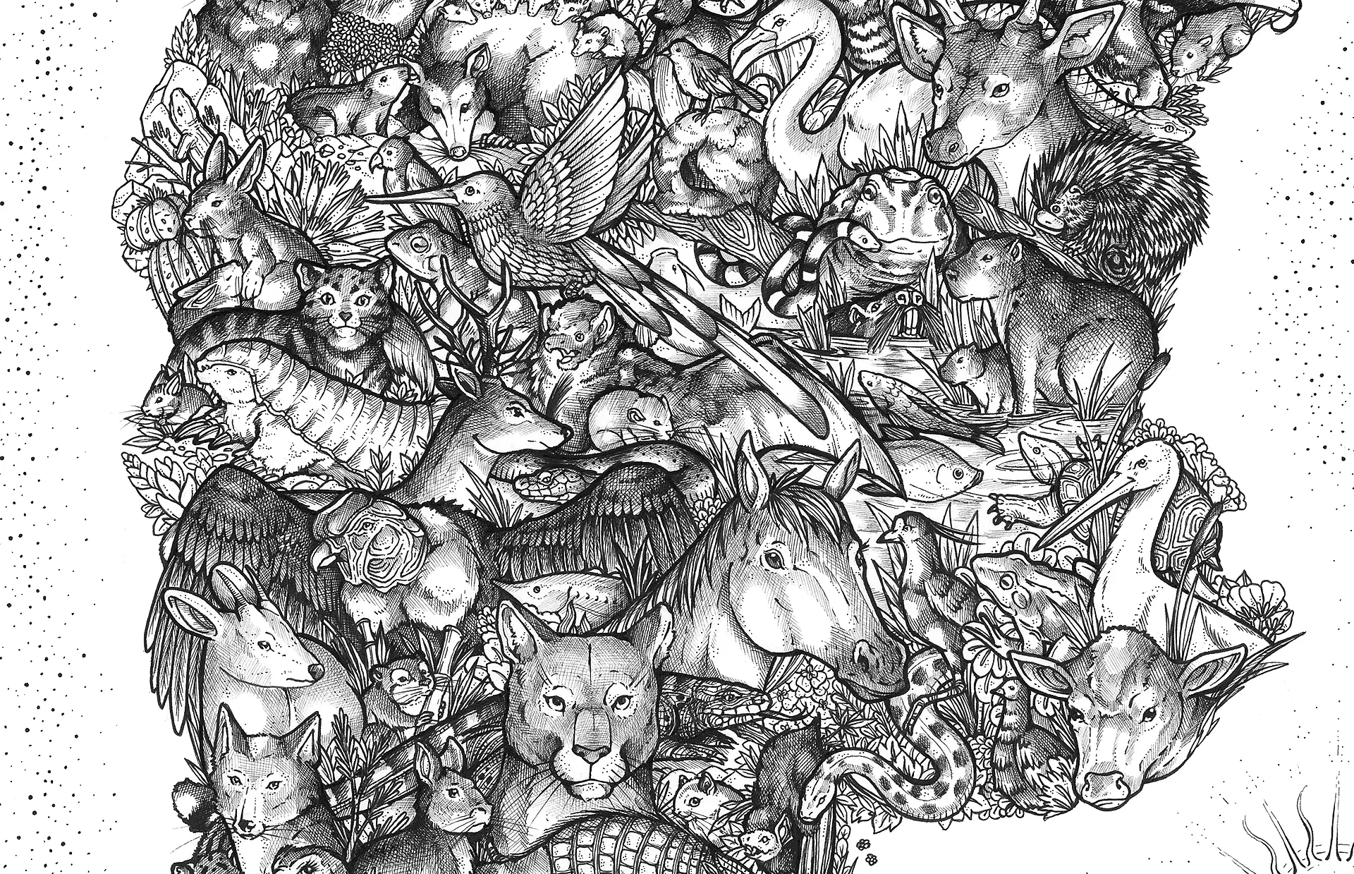 【原画】『大陸間移動装置』（絵画　動物　チワワ　黒猫　植物　龍　苔　蛇） 【原画】『大陸間移動装置』（絵画　動物　チワワ　黒猫　植物　龍　苔　蛇）