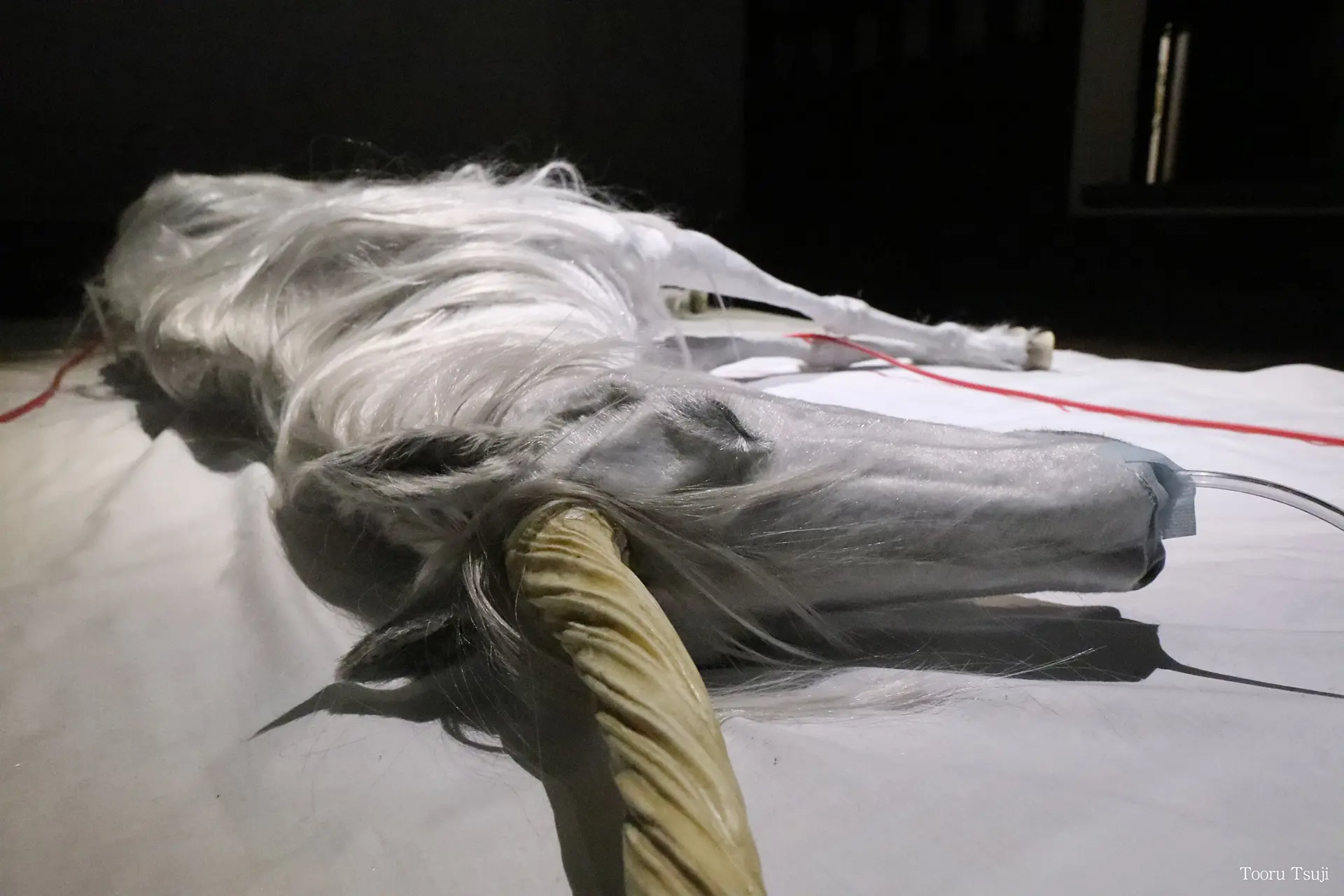 蘇生するユニコーン by 平野 真美 | 現代アートの販売・通販 | ArtSticker