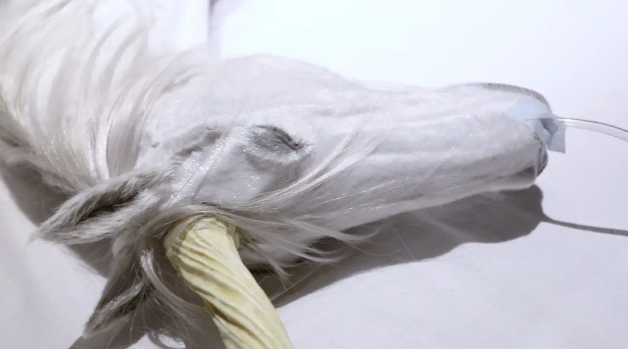 蘇生するユニコーン by 平野 真美 | 現代アートの販売・通販 | ArtSticker