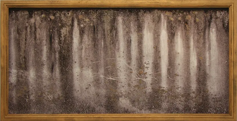 upside down forest / 反景 by Takahiro Tsuzuki