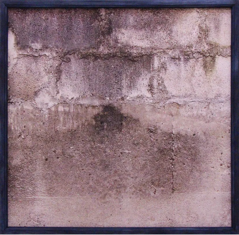 Japan, afterwards / ポスト文明 by Takahiro Tsuzuki