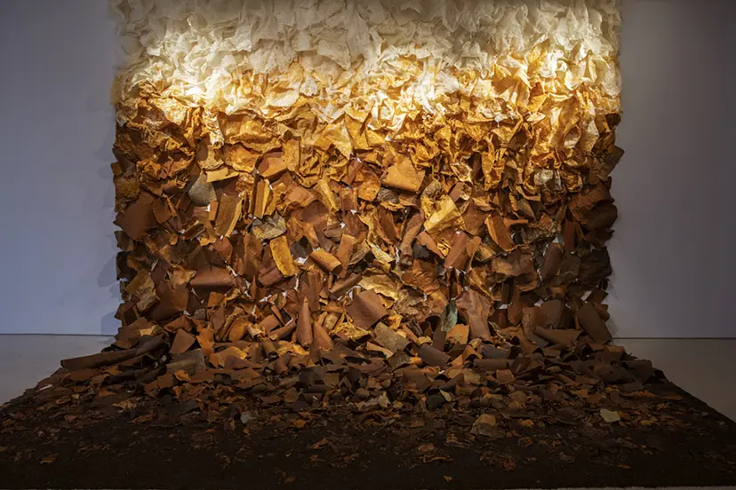 ReBORN Exhibition - Returns to the soil × NY compost by 伊藤咲穂