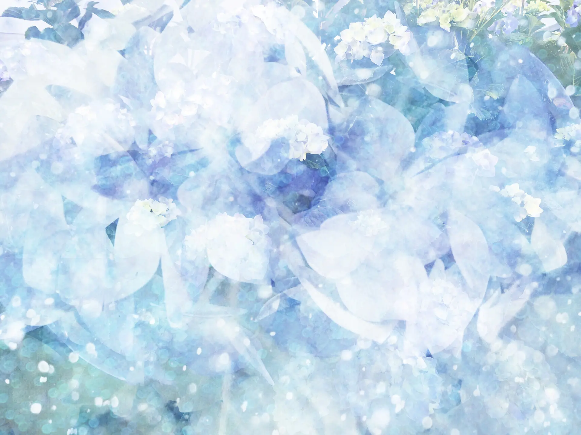 雨の踊り子