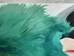 心理鏡