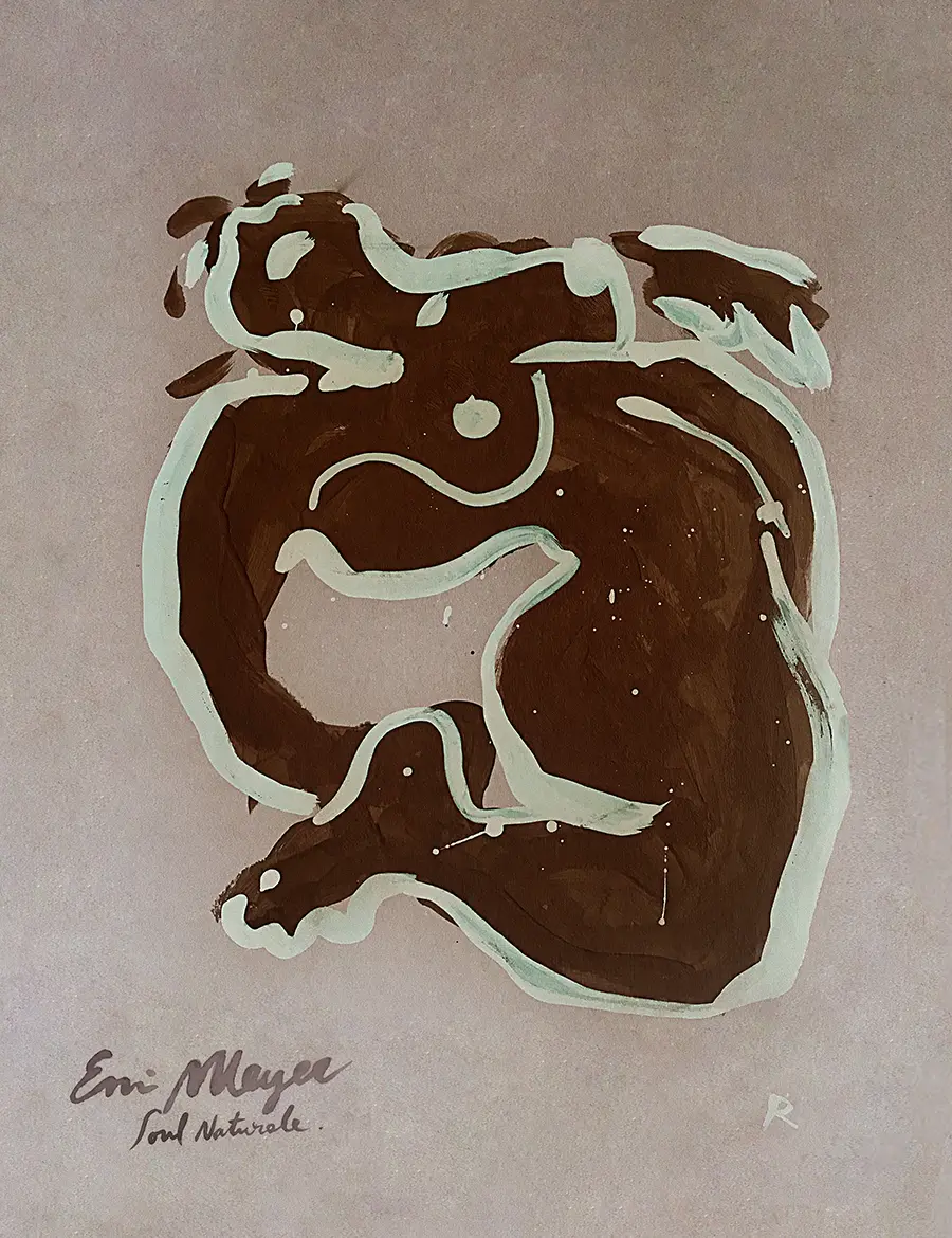 Soul Naturale by Emi Meyer (artwork by Philippine de Richemont)  