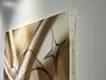 Eyes on a silk