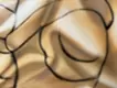 Eyes on a silk