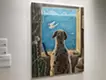 A Dog's Back and the Sea