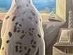 A Dog's Back and the Sea