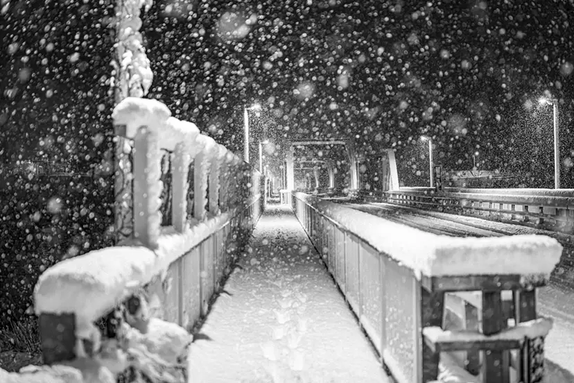SNOW by 草彅 裕