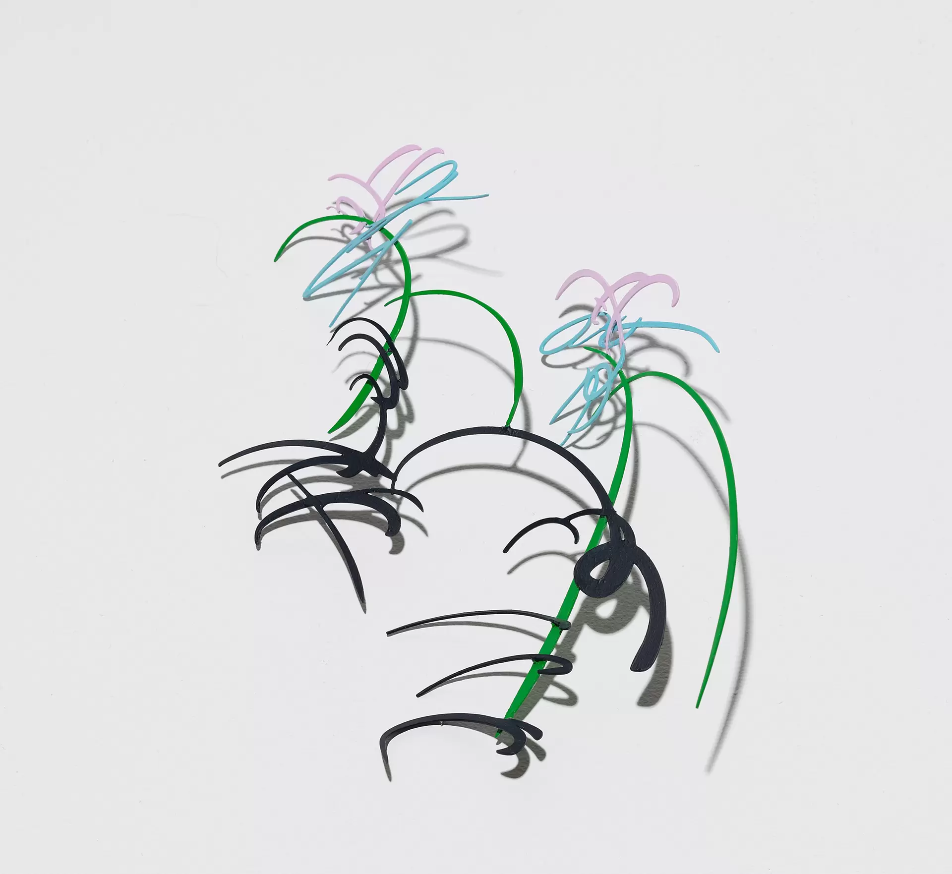 今日のポートレート