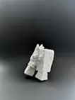 鬼抓人