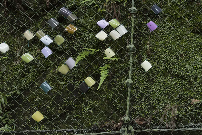 Walking in Minoh no Mori Project, "Minoh no Mori Artwalk 2015" by MIKI WANIBUCHI