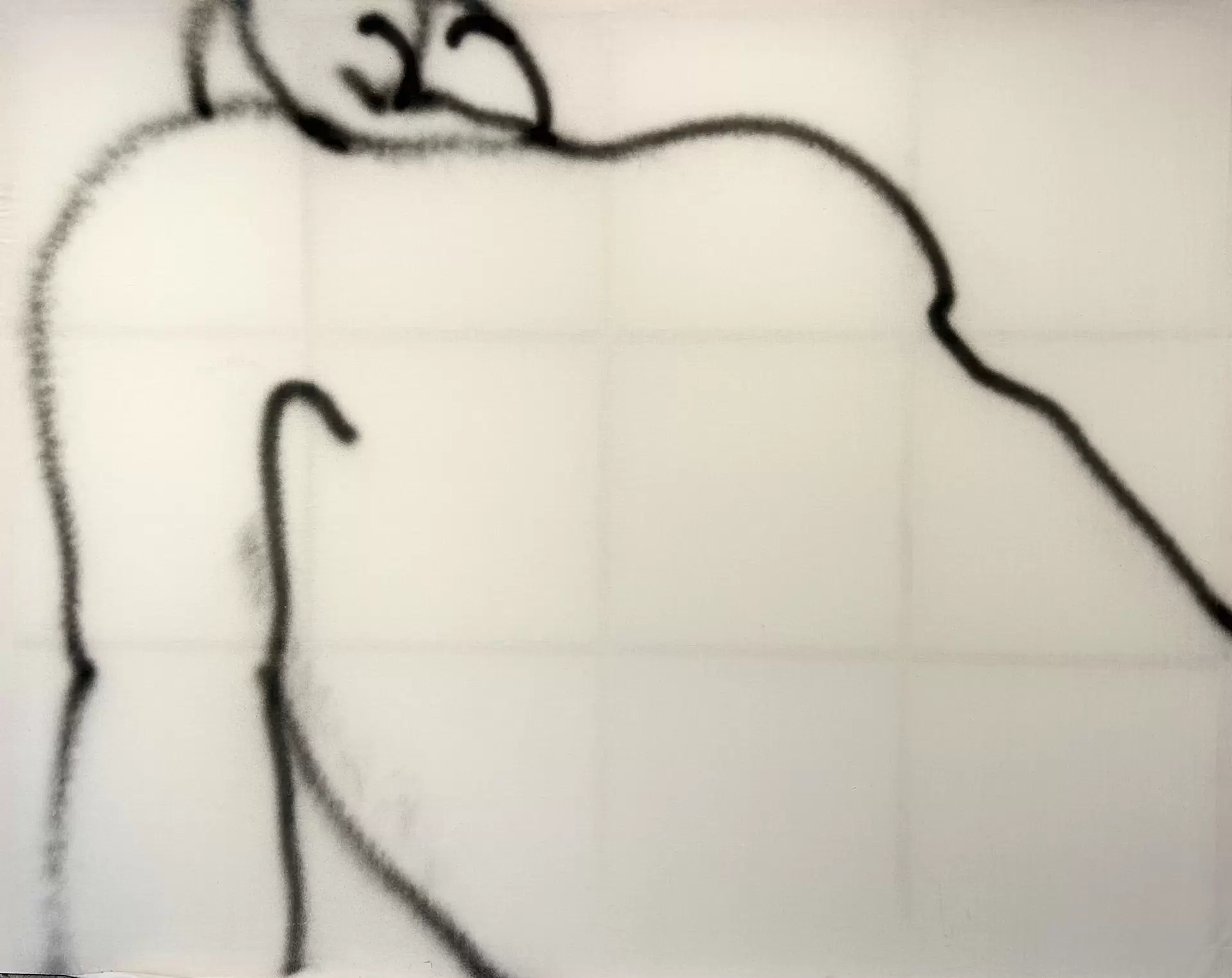 Body and composition 1