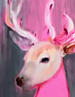 光降る森 15