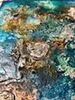 Material Inquiry #1｜素材の探問 #1