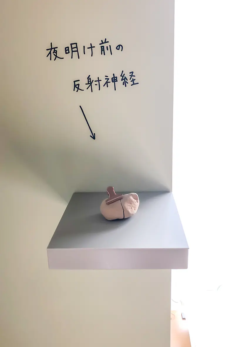 組み合わせの方法 #714 by 牛島 光太郎 Ushijima Koutarou
