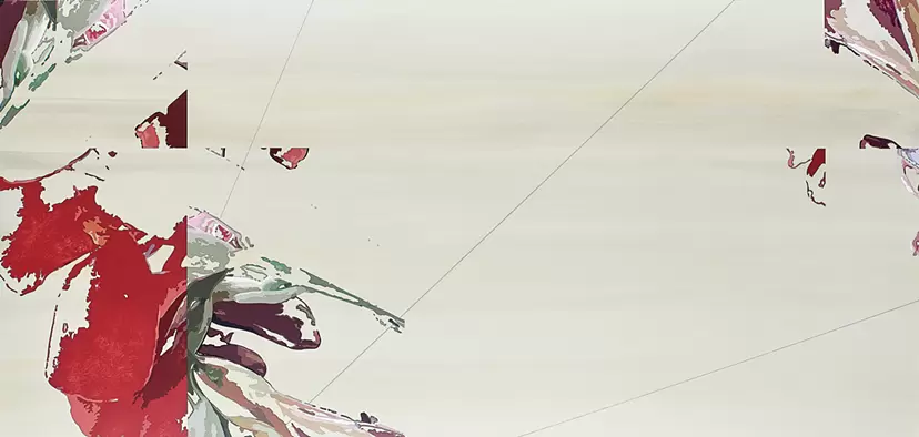 Canna 1900-700-1 by 中村公紀