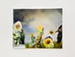 Picture Arrangement/Sora-himawari