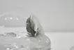 wrapping a verse - Jomon (Nishikubo Hachiman Shrine) / shell -