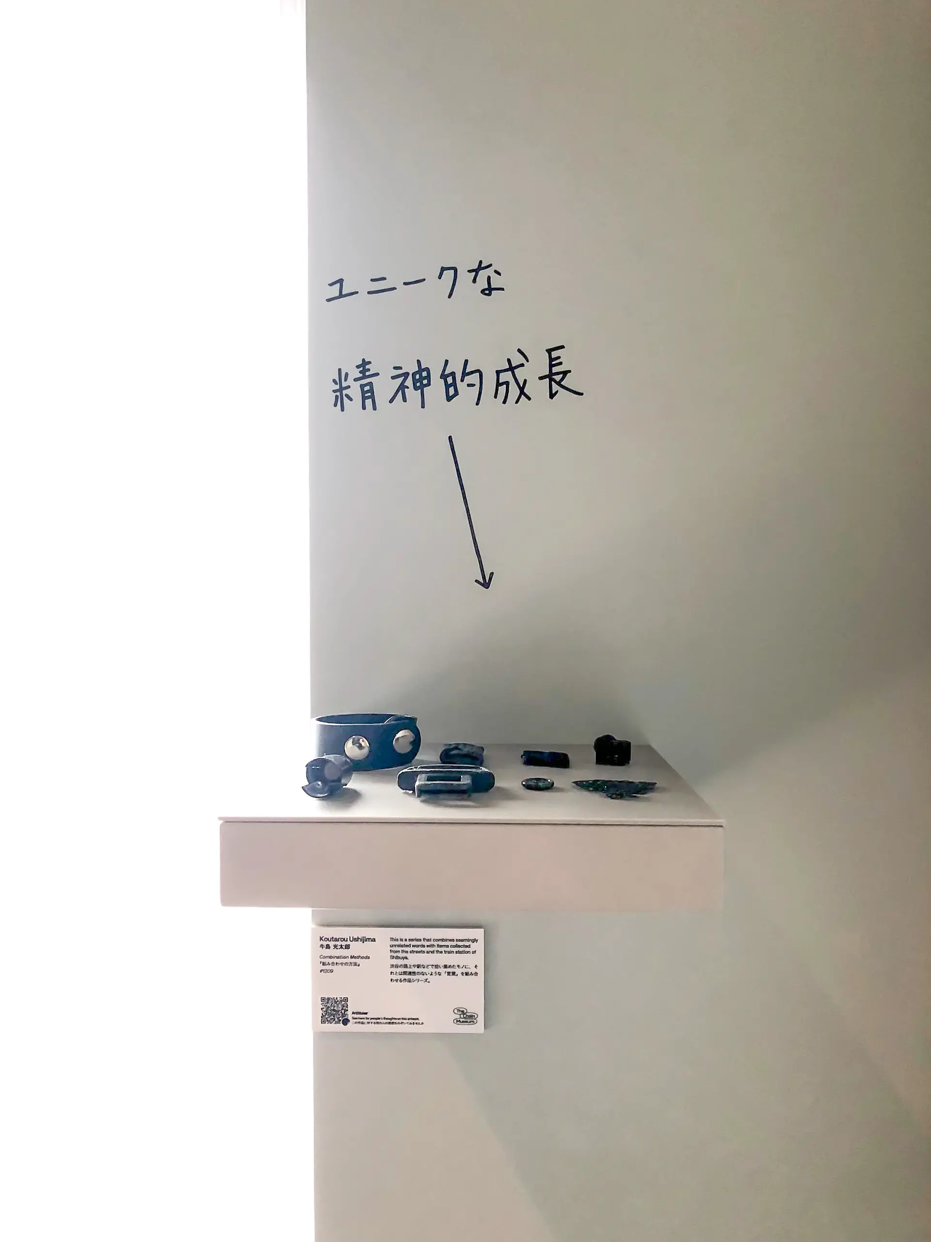 組み合わせの方法 #1209