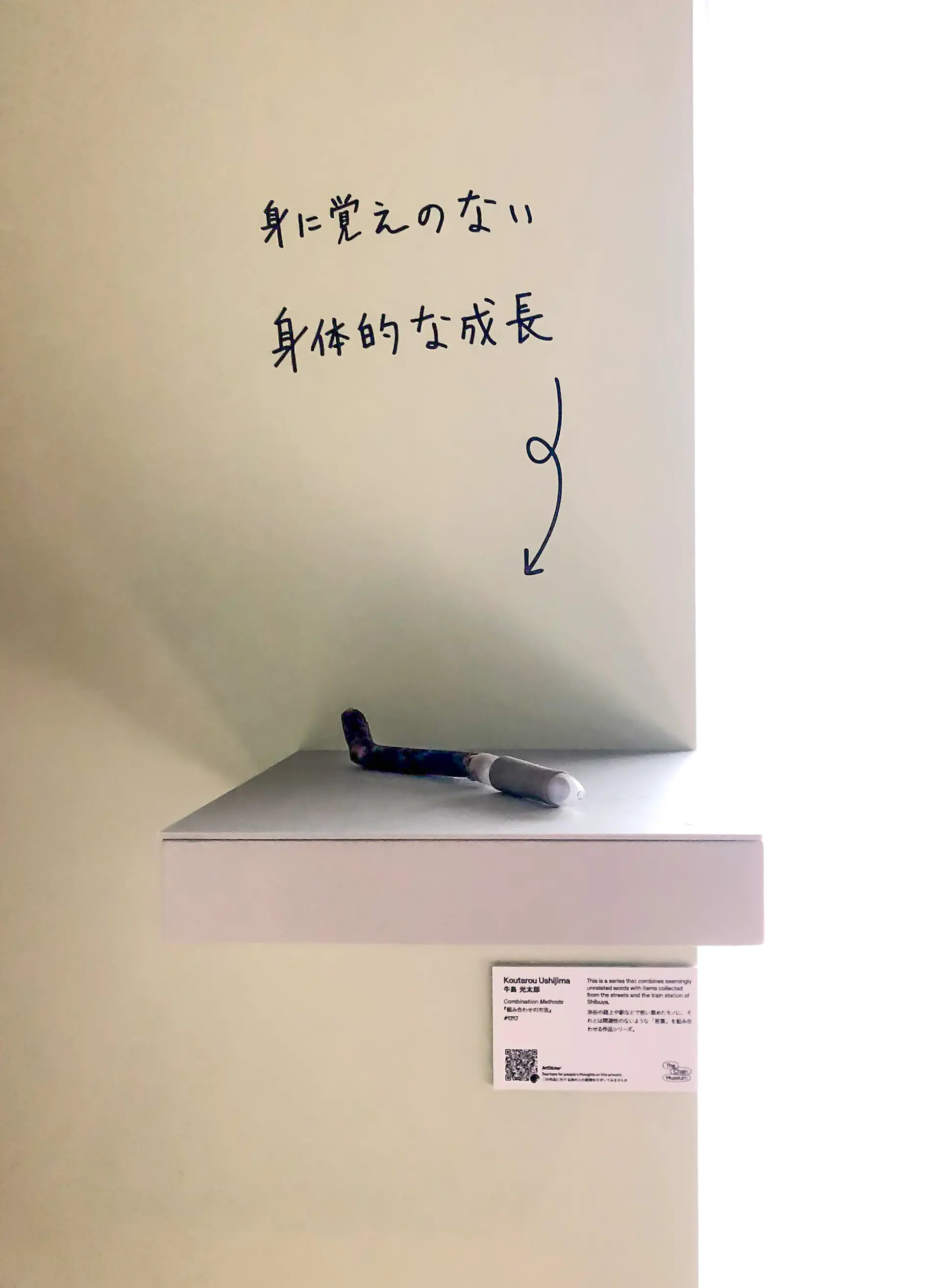 組み合わせの方法 #1312