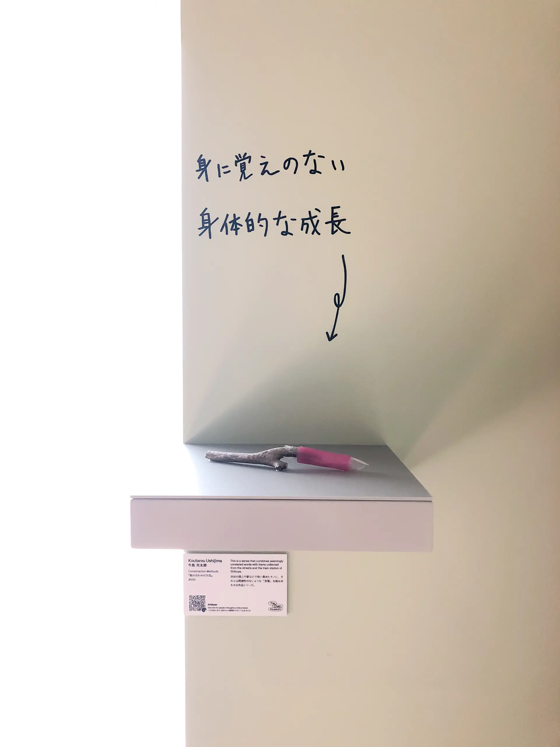 組み合わせの方法 #1313
