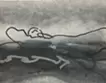 身体和构成 10