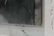 身体和构成 10