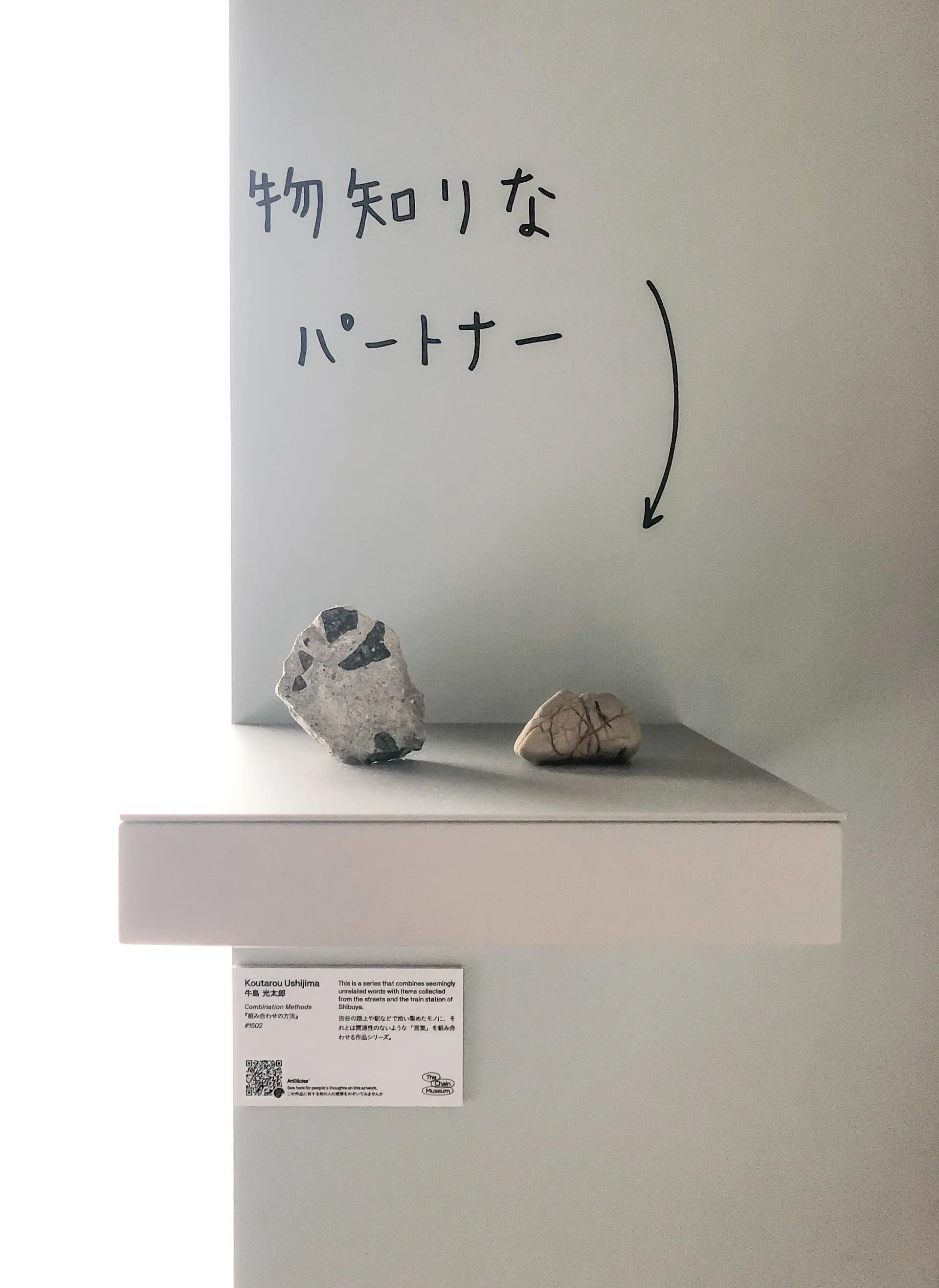 組み合わせの方法 #1502