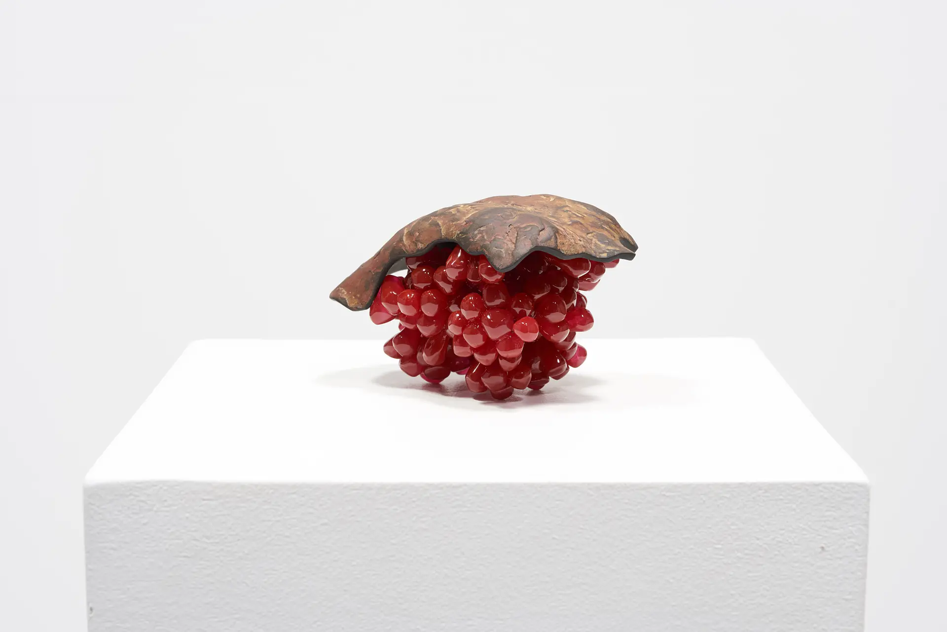 ザクロの実、溢れ出す by Caori FUJITA 藤田薫 | 現代アートの販売