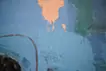 第二百零三十一號