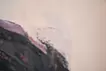 第二百零二三十二號