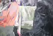 第二百五十四號