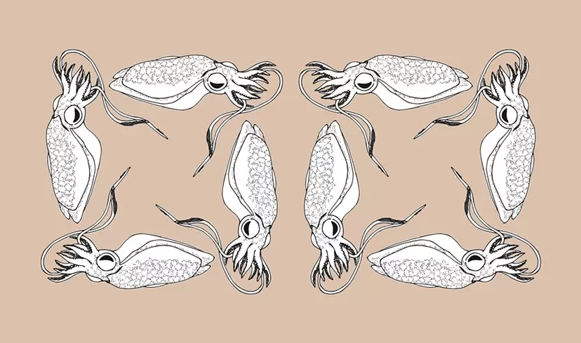 版画のアート作品 | 現代アートの販売・通販 | ArtSticker（アートス