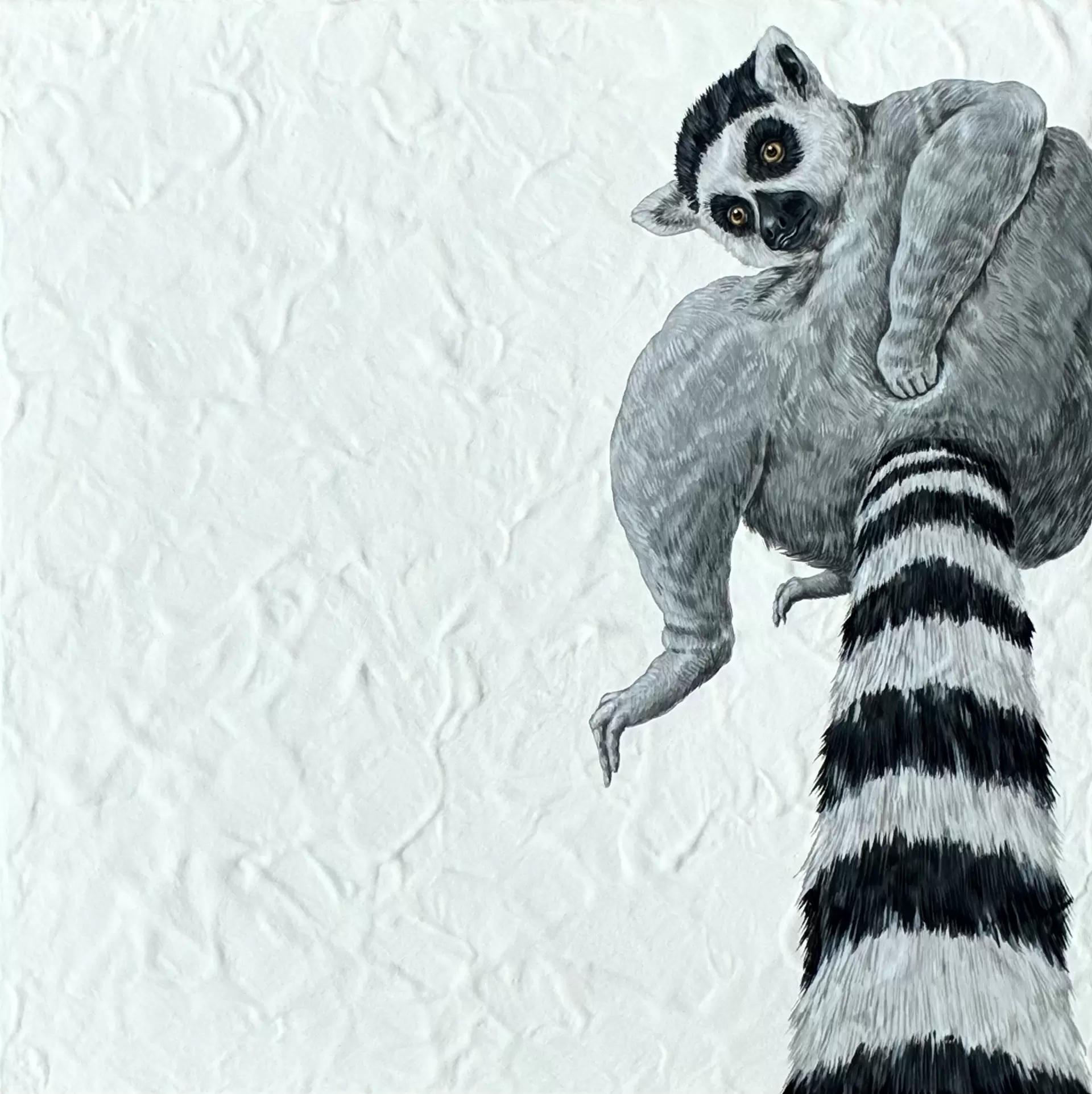 ワオキツネザル by 沼田月光 | 現代アートの販売・通販 | ArtSticker