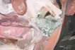 第二百零九一號