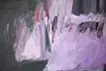 第二百零九二號