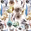 Plants Planets - Fragment