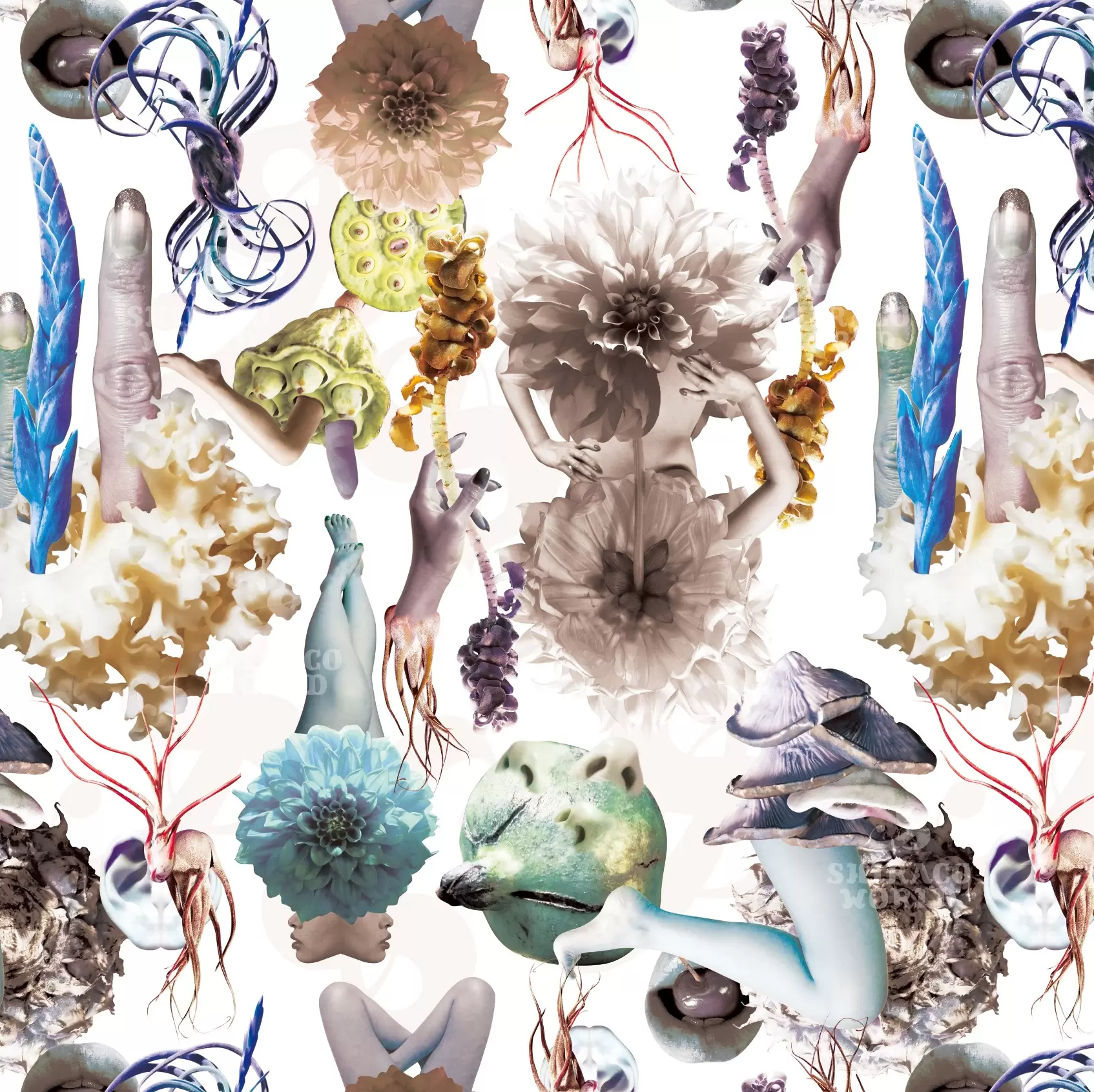 Plants Planets - Fragment