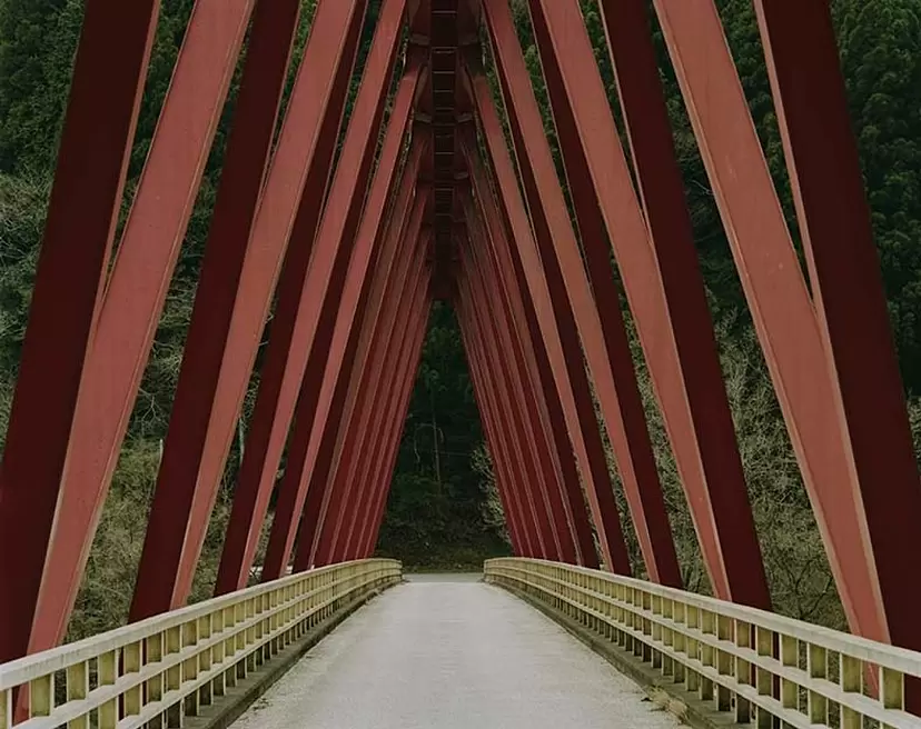 violet diary 4 by 川島小鳥 | 現代アートの販売・通販 | ArtSticker