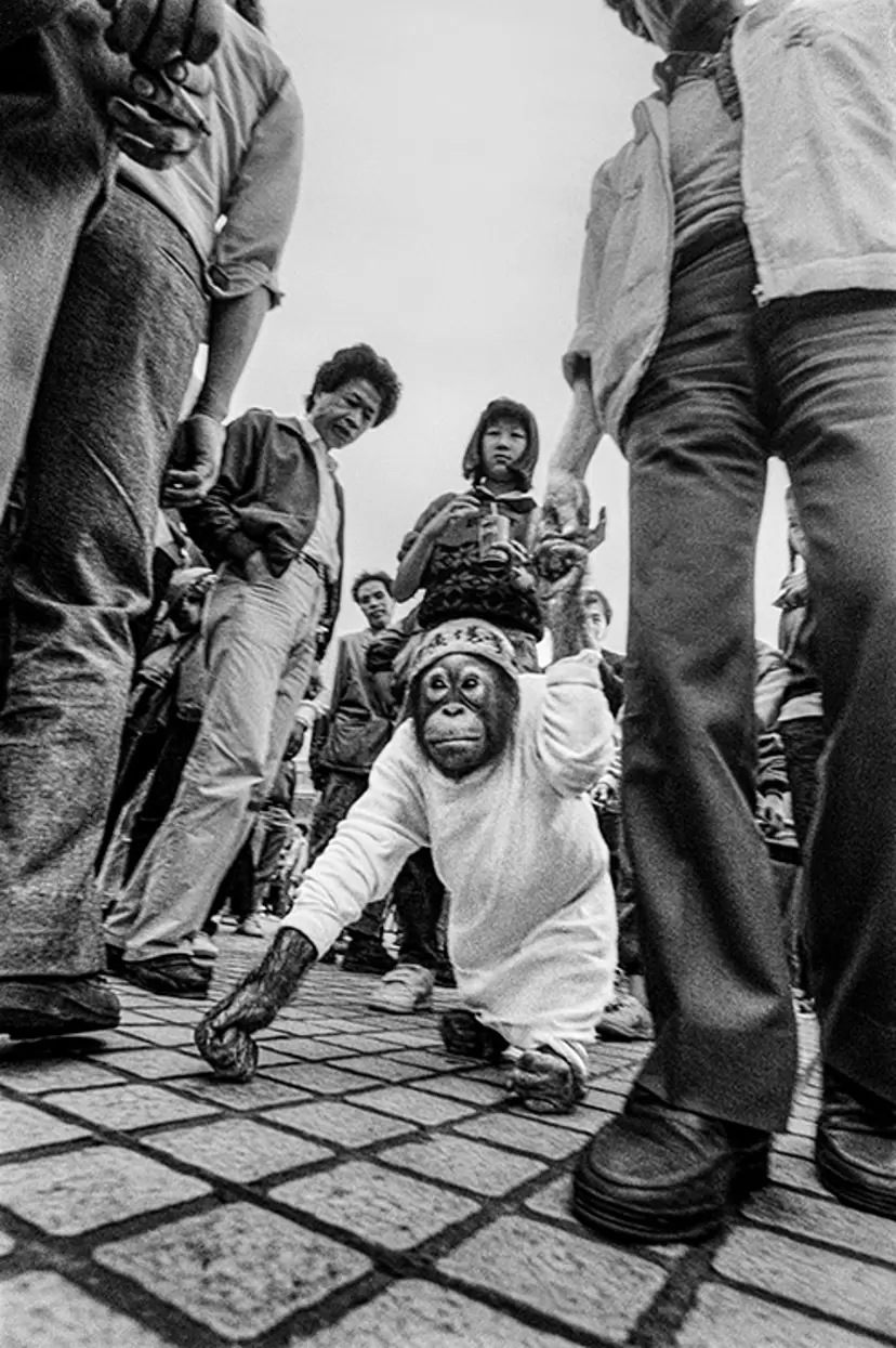 1990年「三月学運」 — 1990 “March Student Movement” by 劉 振祥
