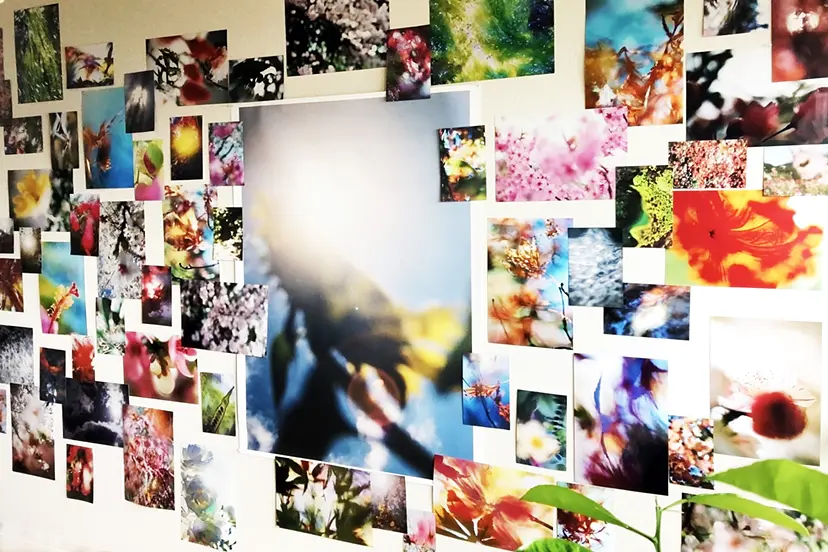 W.I.P ワークインプログレス by 田中亜紀 （AKITANAKA ）　ぷらっとphoToほーむ（PlaTphoToHome）