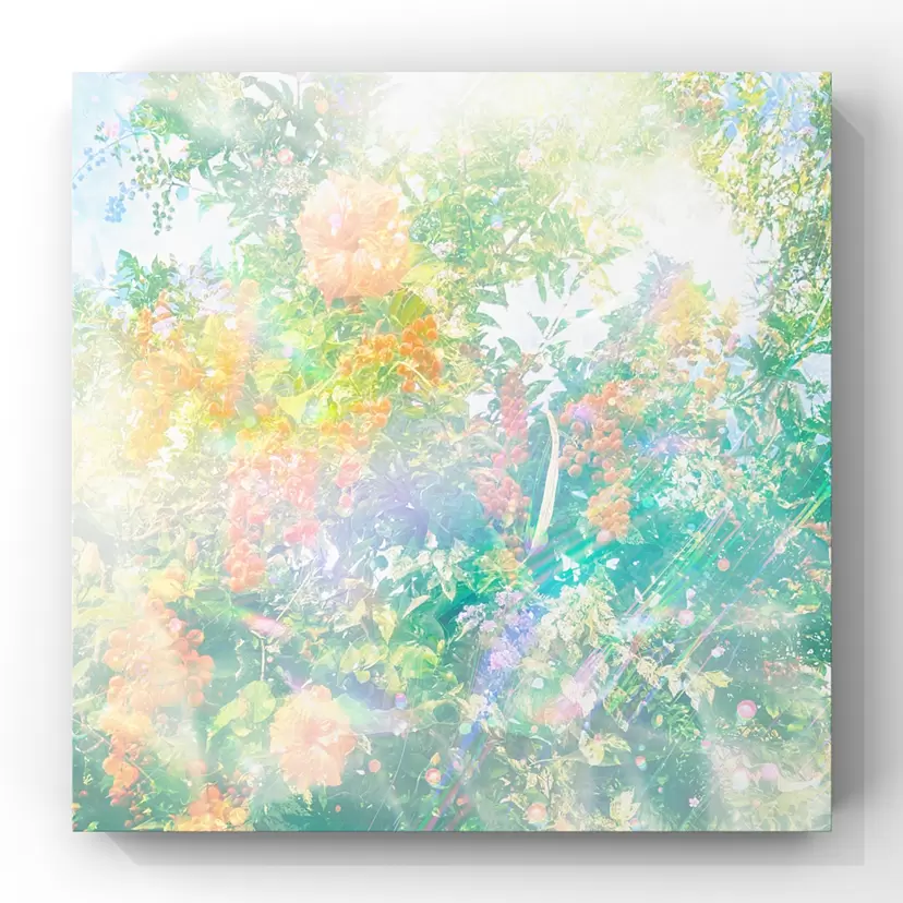 『ʻŌlapa a Laka』 by Priscilla Lei  (プリシラ・レイ) 