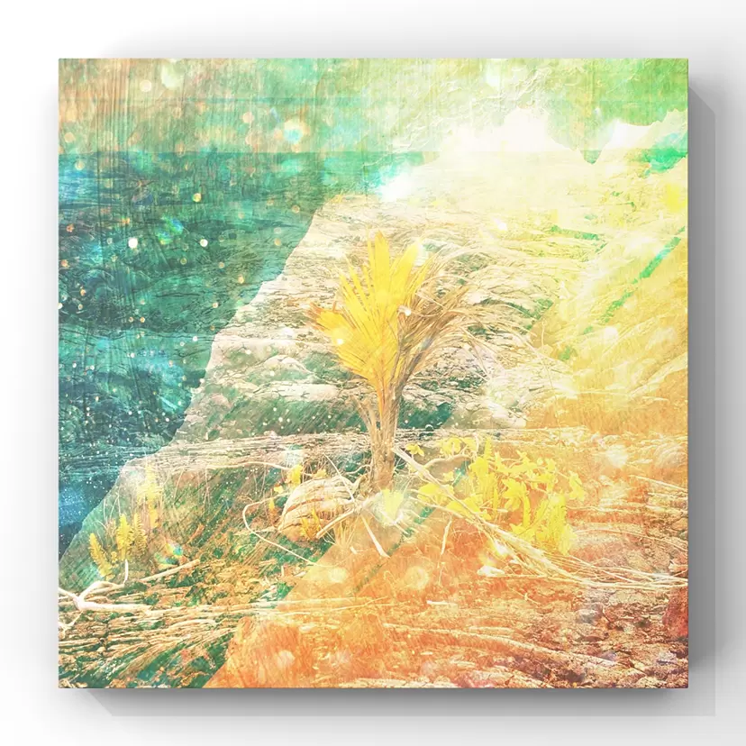 『Haumea Hānau』 by Priscilla Lei  (プリシラ・レイ) 
